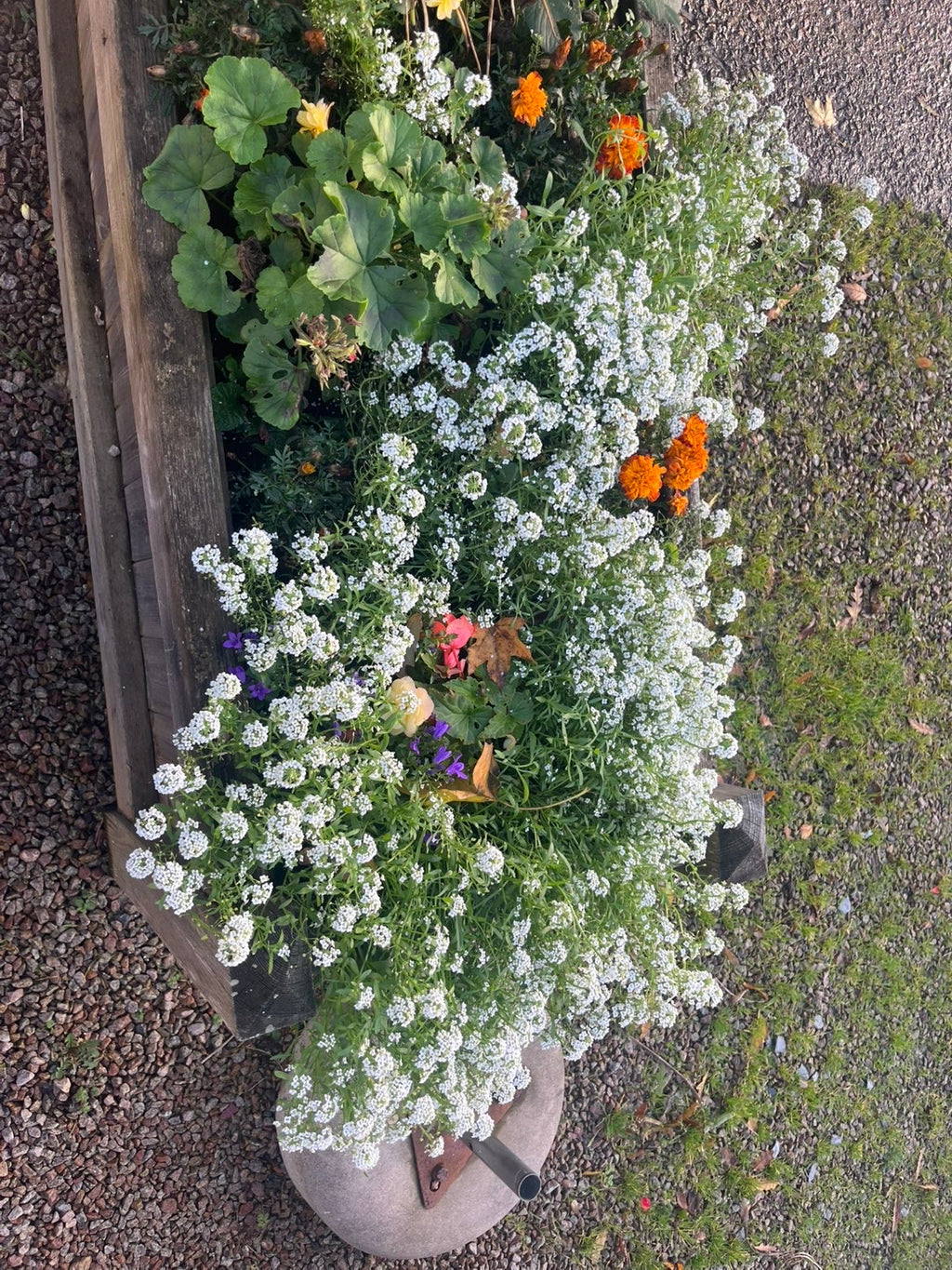 ZMK Valentine’s Dinner: Foraged Tasting Experience · February 14th